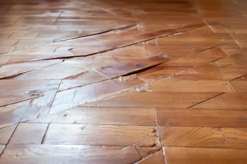 Floor Removal & Disposal