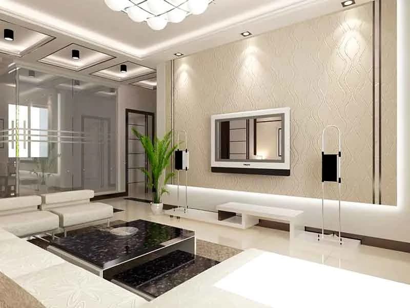 Full Home Renovation