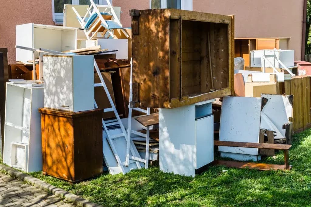 Safe Removal, Proper Disposal